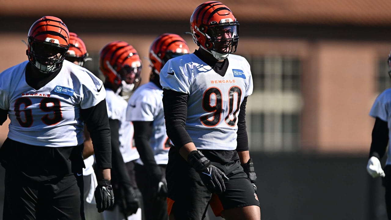 Allan George is back and ready to make an impact with the Bengals