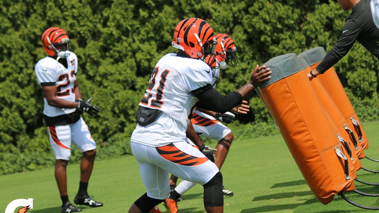 Bengals Training Camp 8/15