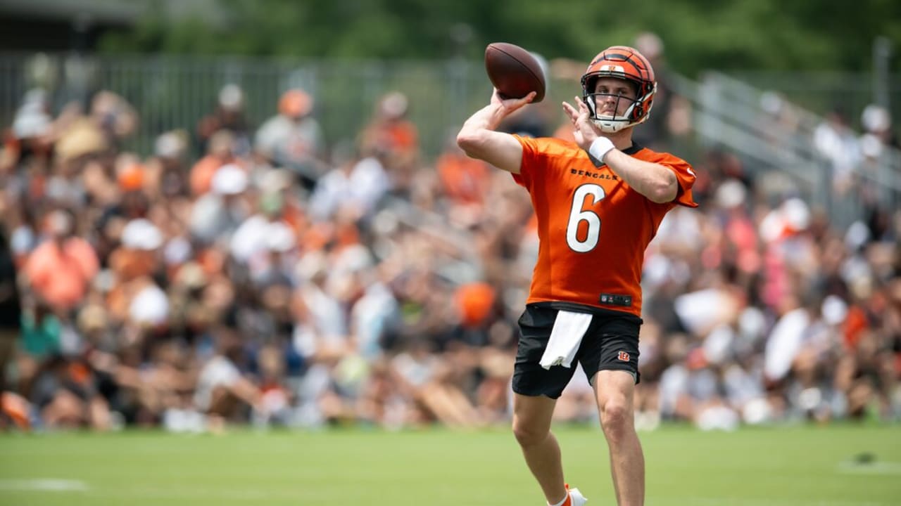 Bengals: Joe Burrow 'several weeks' away, Zac Taylor