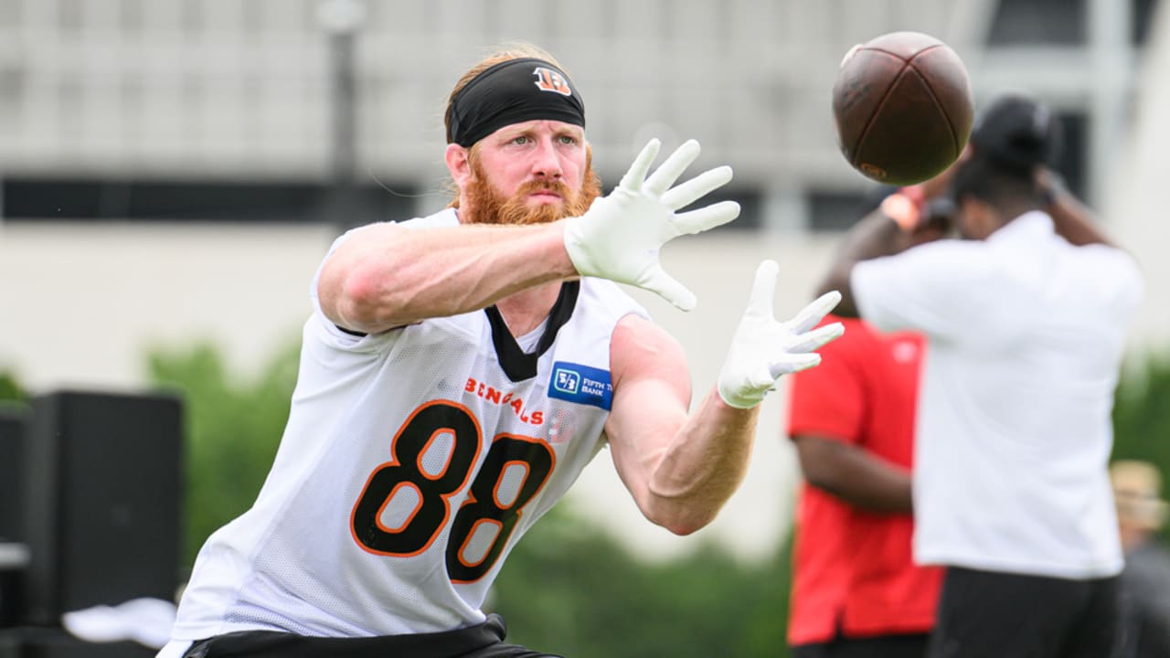 Baseball bonds Hayden Hurst and Bengals TE coach Casey