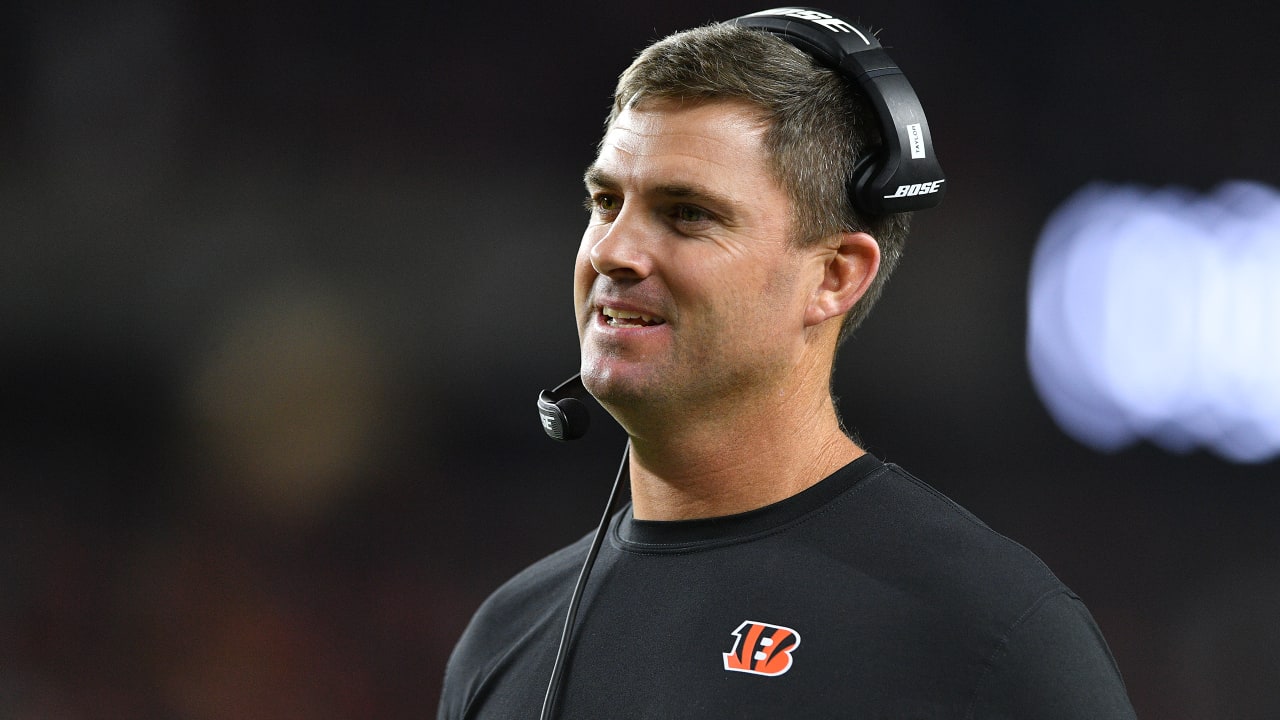 Bengals fan can't get off roof until team wins