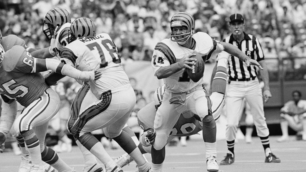 180 Warren Moon Vikings Stock Photos, High-Res Pictures, and