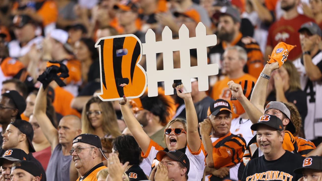 PHOTOS: Bengals hold Fan Day practice