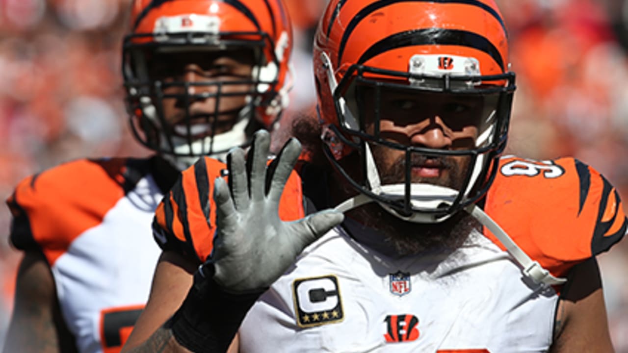 Cincinnati defensive tackle Domata Peko (94) during game action at