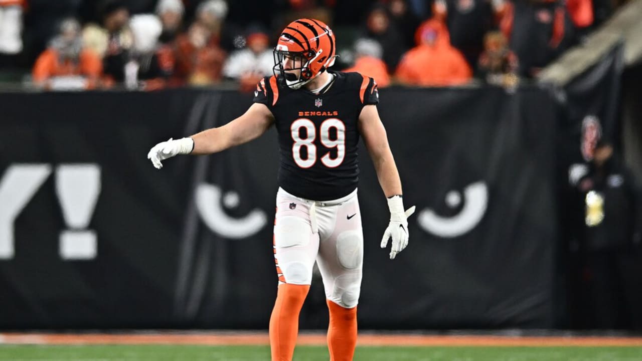Bengals View A Healthy (Drew) Sample Of Experience As Boost To Tight Ends  Room - BVM Sports
