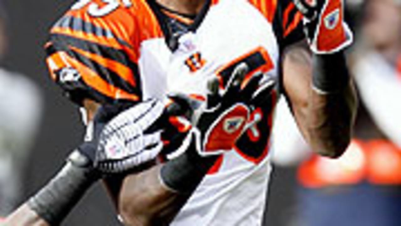 Safety David Fulcher of the Cincinnati Bengals returns to the News Photo  - Getty Images