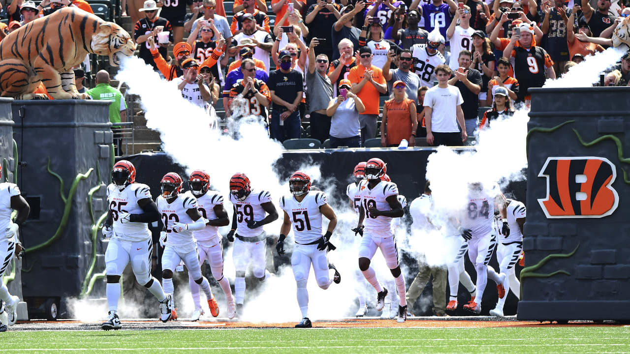 Titans vs. Bengals VIP Experience: Home Team Tunnel Experience