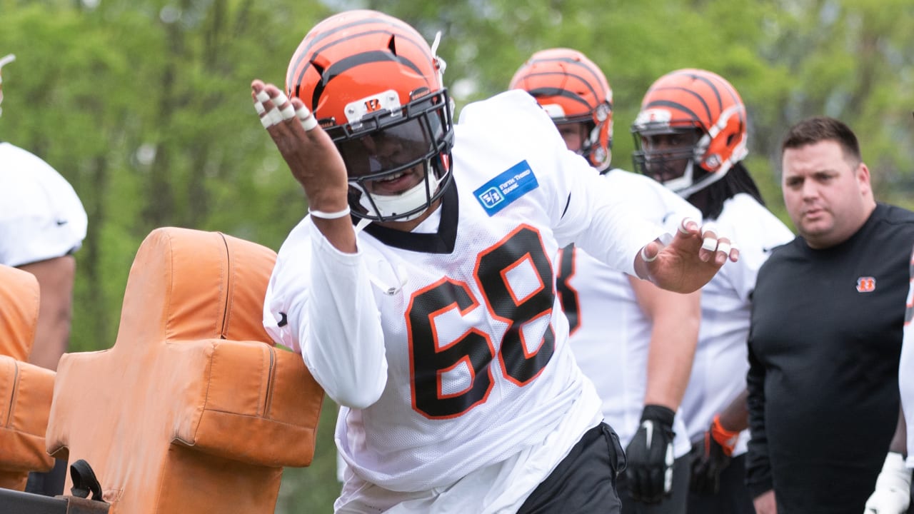 Ex-Bulldogs A.J. Green and Geno Atkins have their day against Jaguars