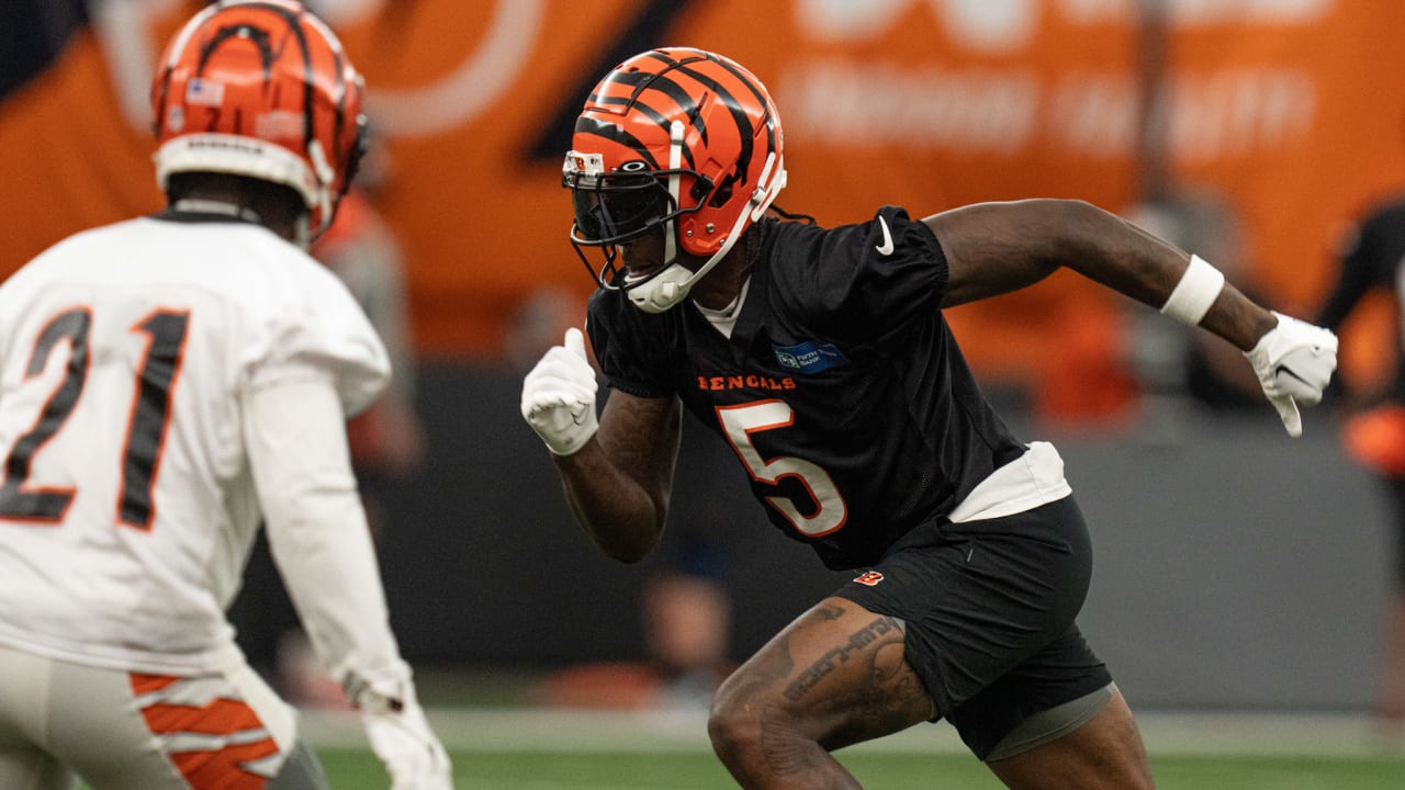 Training Camp Report Bengals Break Camp In Quest To Finalize Roster