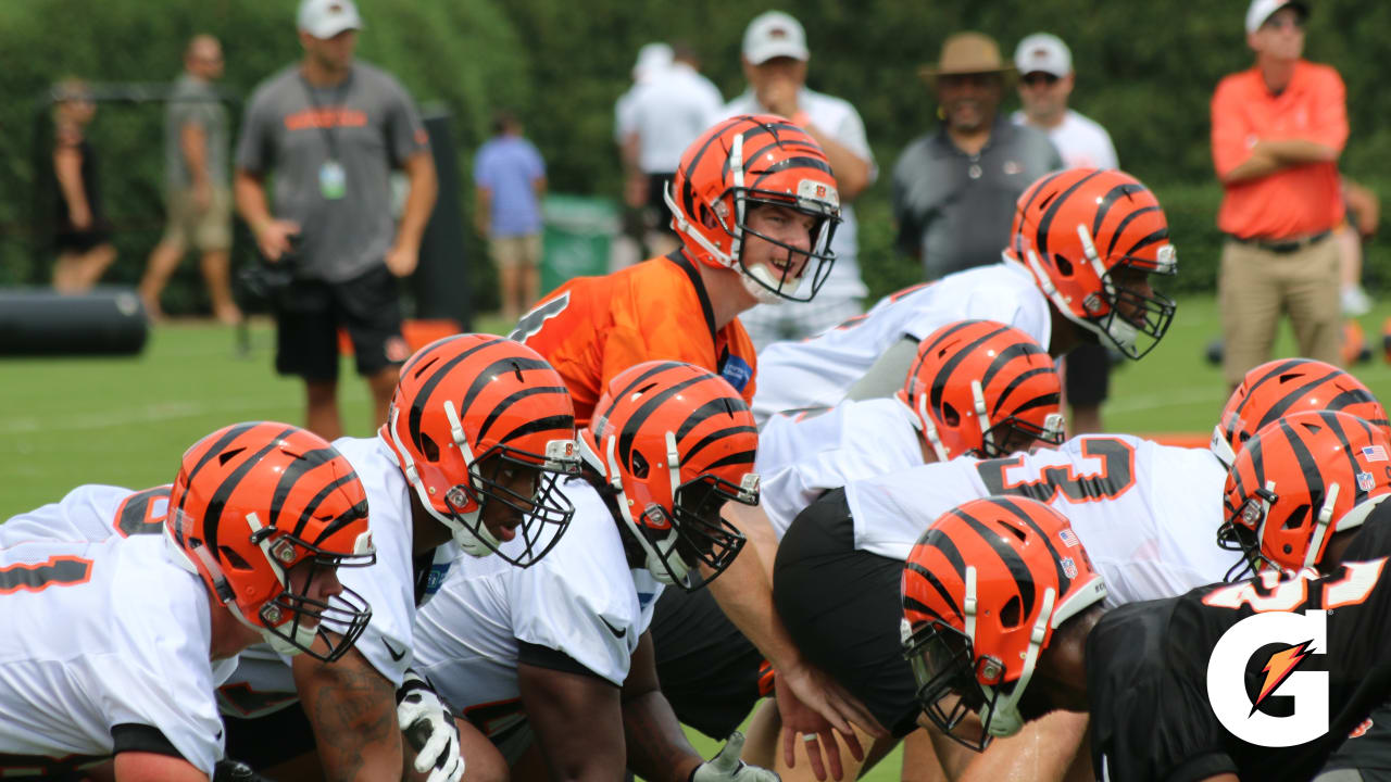 Andy Dalton sharp in new offense, other Bengals observations