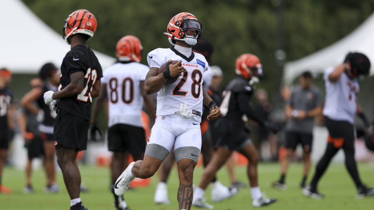 Cincinnati Bengals running back Rudi Johnson points to a group of