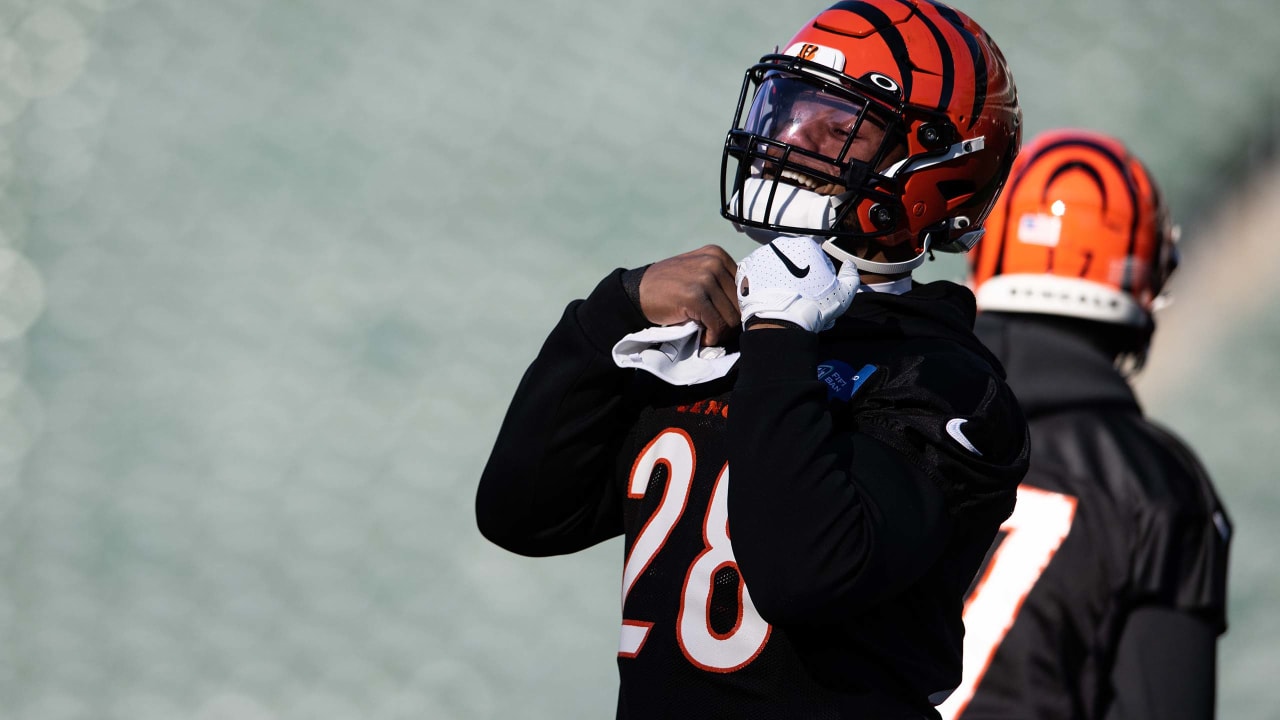 Bengals Playoff Notebook: Mixon Poised In Wings As Bengals Wing It; Role Vets In Secondary Eye Waller; Postseason Nuggets