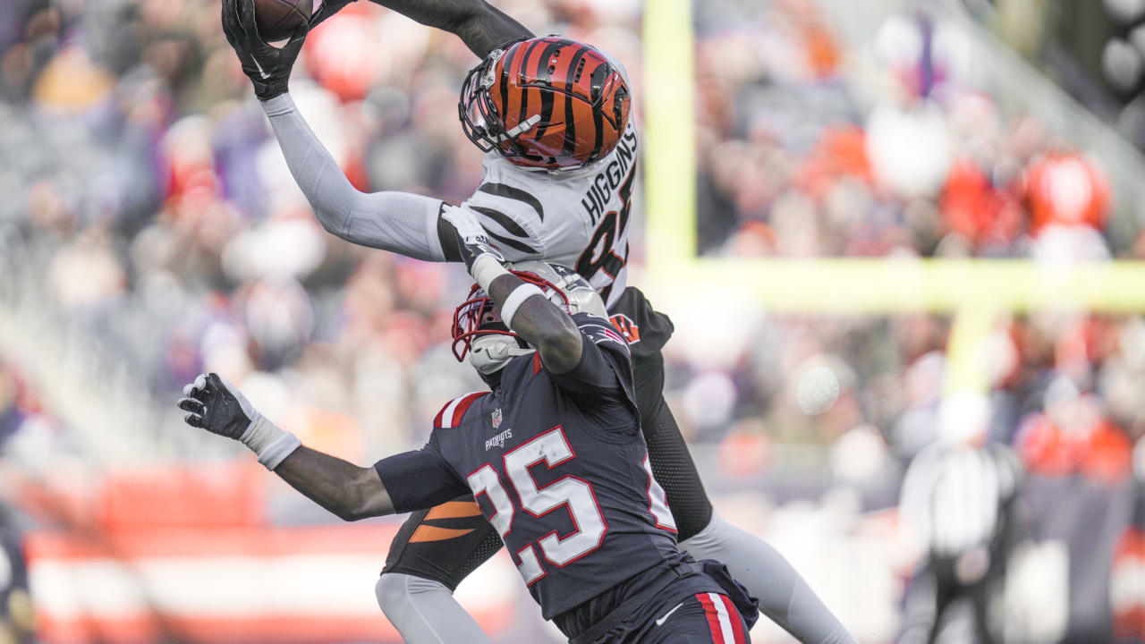 Tee Higgins 31 YD Catch  Week 16 Bengals Highlights vs. New