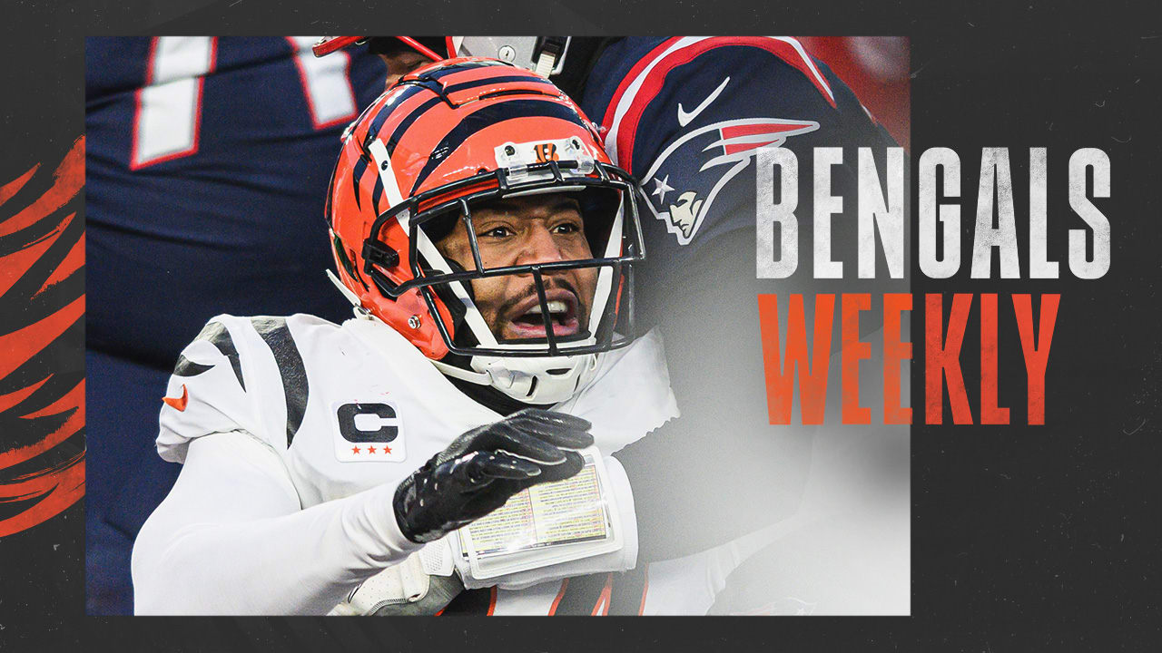 Week 17 Against the Buffalo Bills | Bengals Weekly