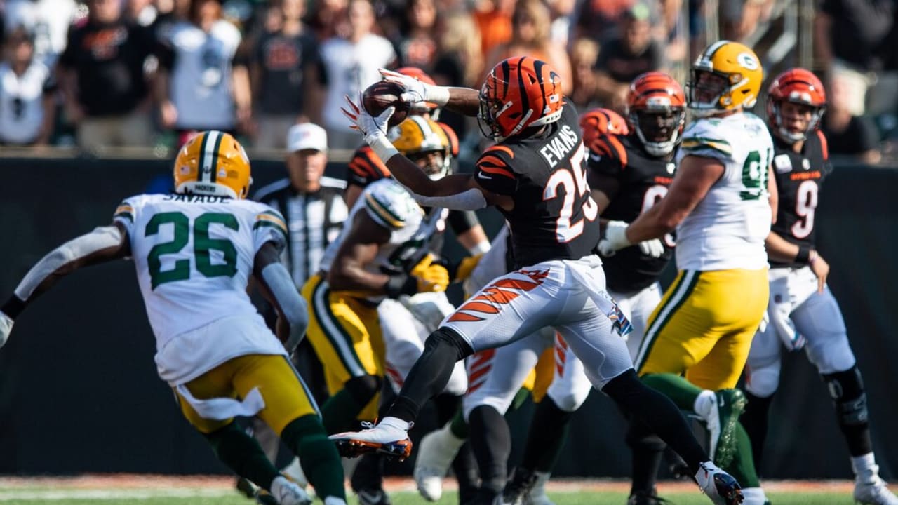 Cincinnati Bengals vs Green Bay Packers