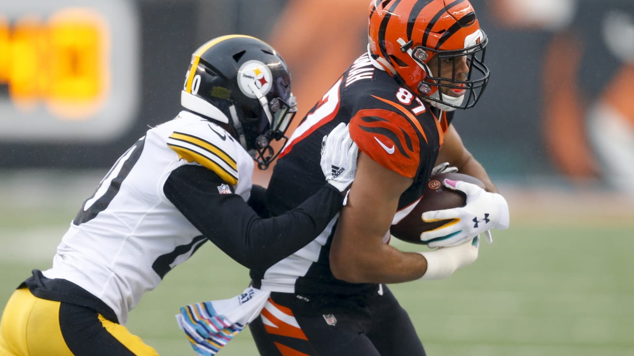 Updated List of Bengals 2019 Free Agents