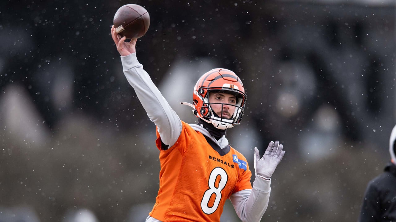 Brandon Allen, Bengals Reportedly Agree to New Contract to Back Up Joe  Burrow, News, Scores, Highlights, Stats, and Rumors