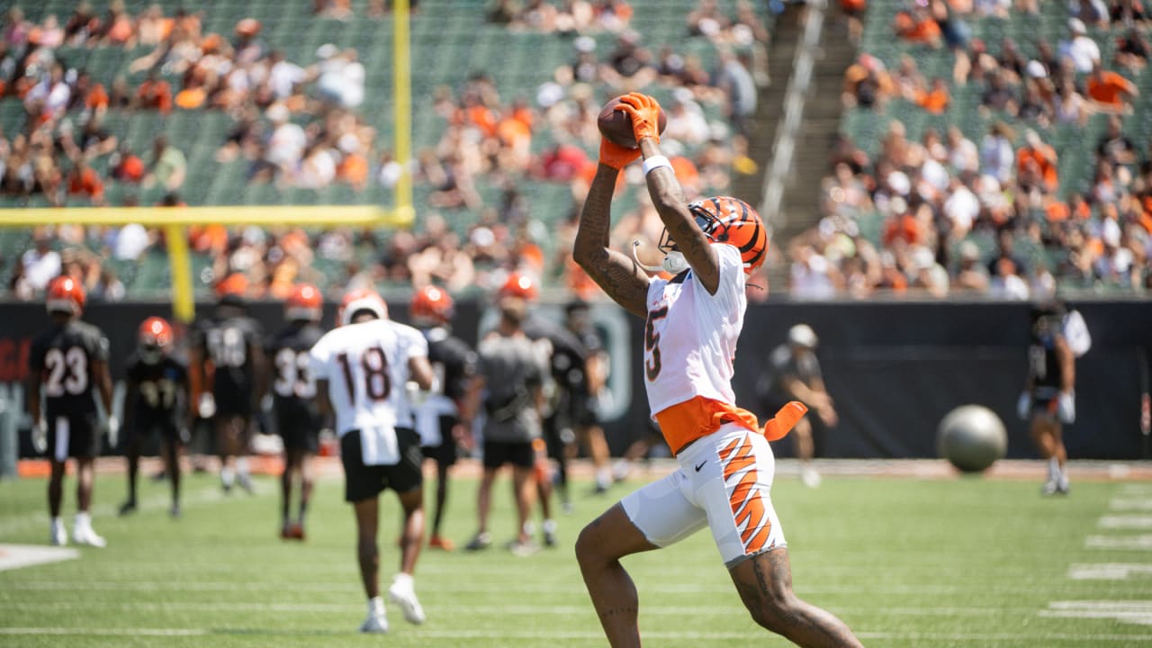 Bengals Training Camp Observations July 29