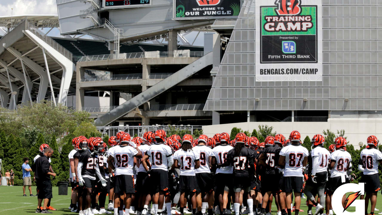 Cincinnati Bengals Training Camp Action Clips