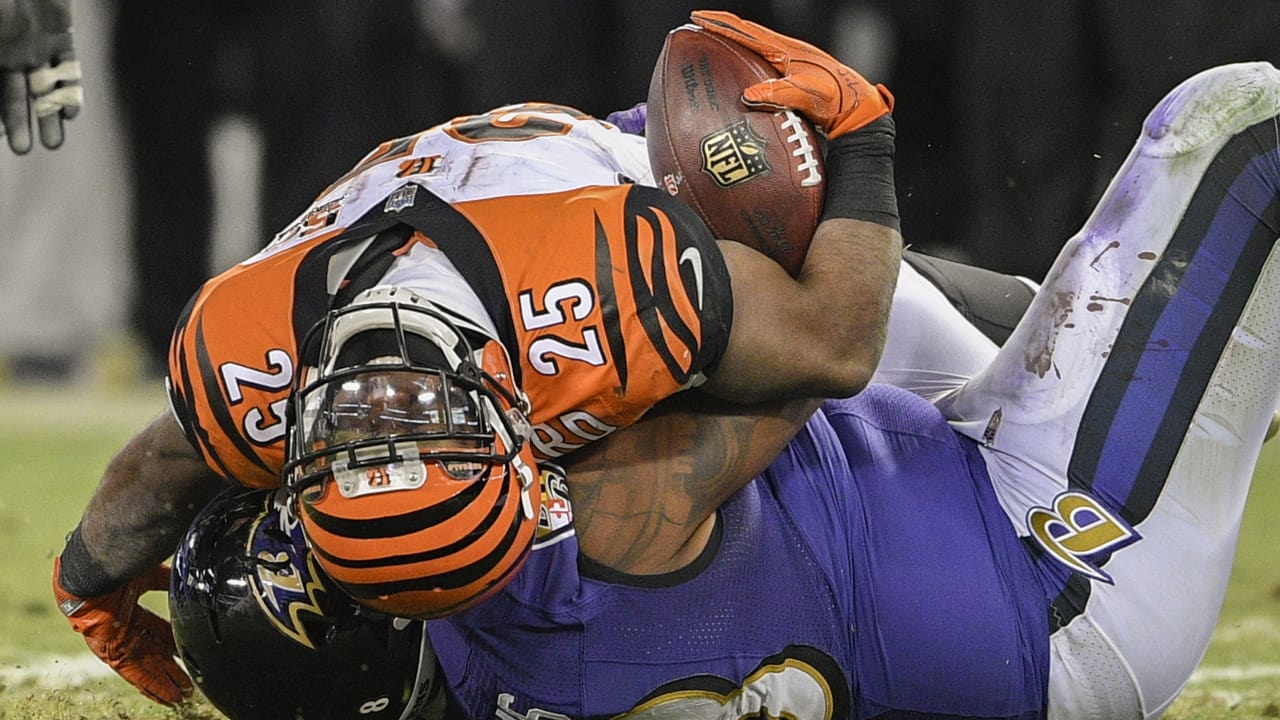 Ravens 17-34 Bengals (Dec 29, 2013) Final Score - ESPN