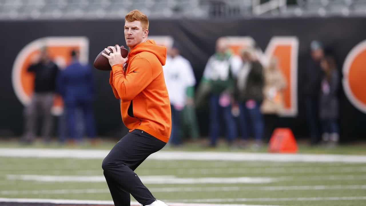 michael jordan cincinnati bengals