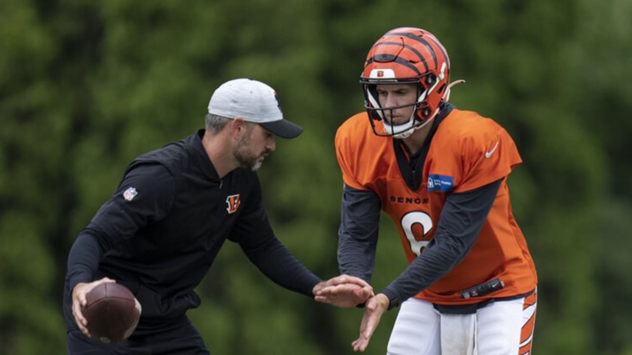 The Conversation Bengals QBs Coach Dan Pitcher Winning The Percentages With 'The Kind Of Guy We