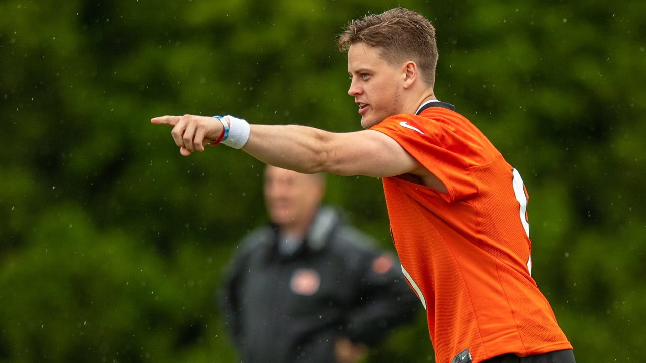 Joe Burrow gets standing O as he makes triumphant return to PBS: Bengals  news - Cincy Jungle