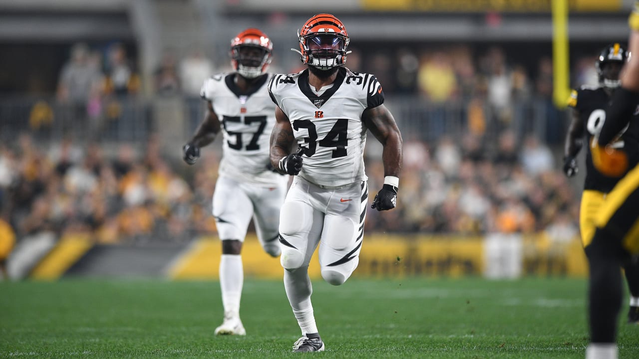 perine cincinnati bengals