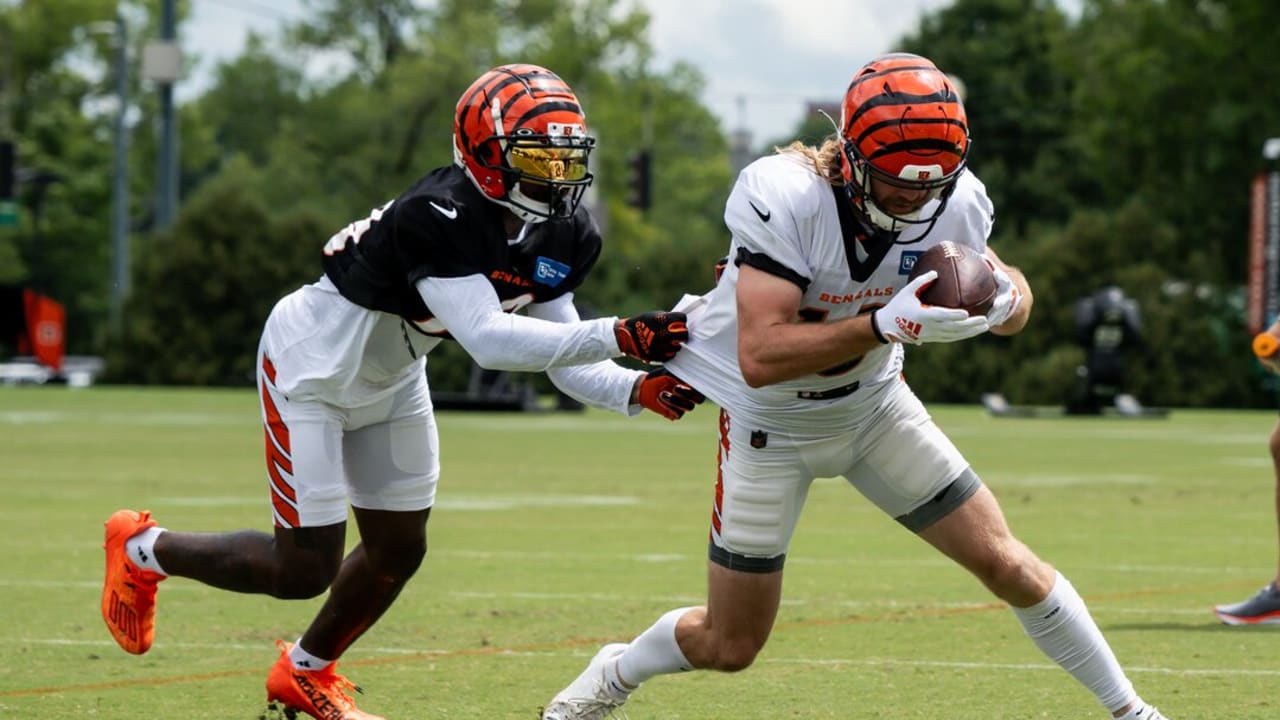 Bengals coach Zac Taylor jokingly claims he didn't hear whistle on Cincy TD