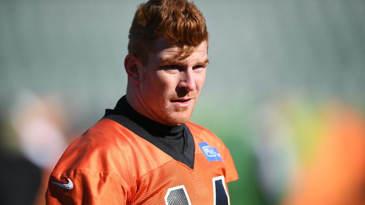 Cincinnati Bengals quarterback Andy Dalton (14) walks off the