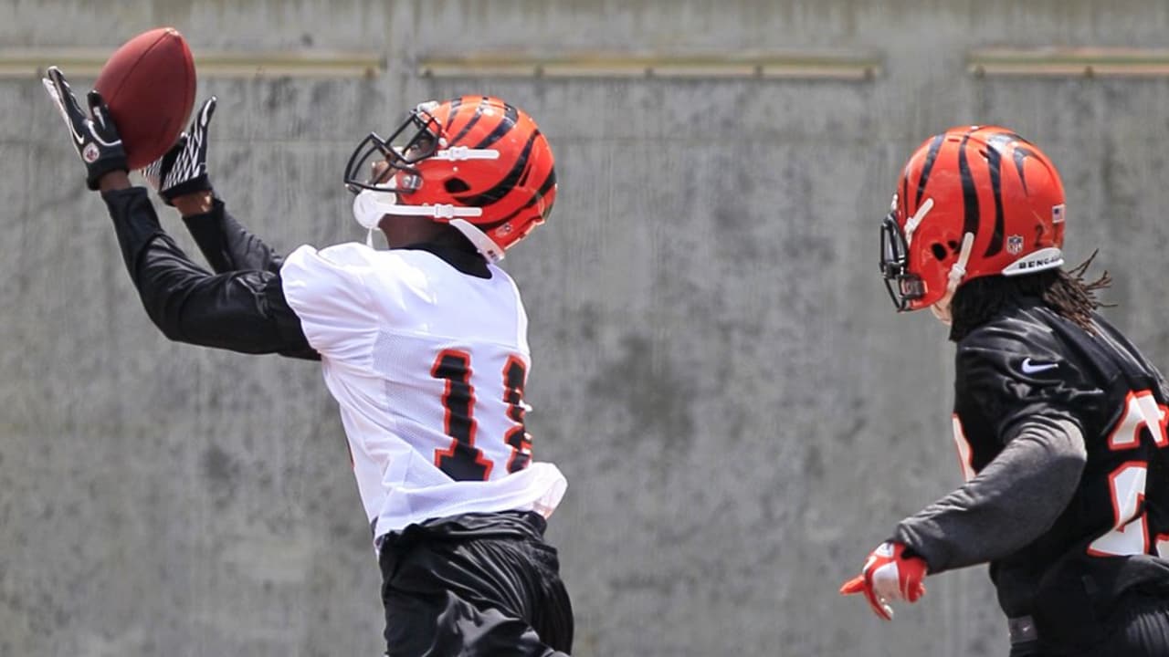 Bengals Minicamp Photo Gallery (6/12/12)