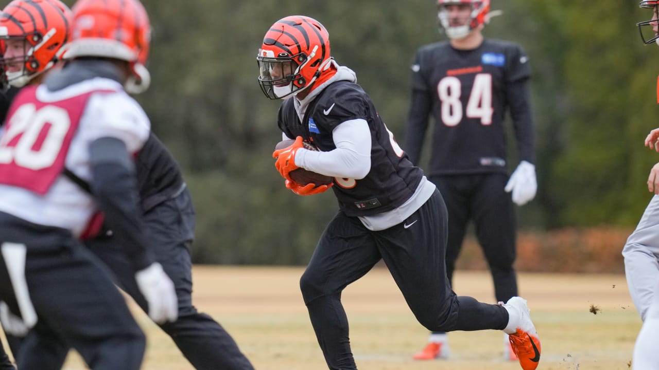 Pittsburgh, Pennsylvania, USA. 20th Nov, 2022. November 20th, 2022  Cincinnati Bengals running back Joe Mixon (28) and Cincinnati Bengals  running back Samaje Perine (34) celebrate after scoring a touchdown during  Pittsburgh Steelers