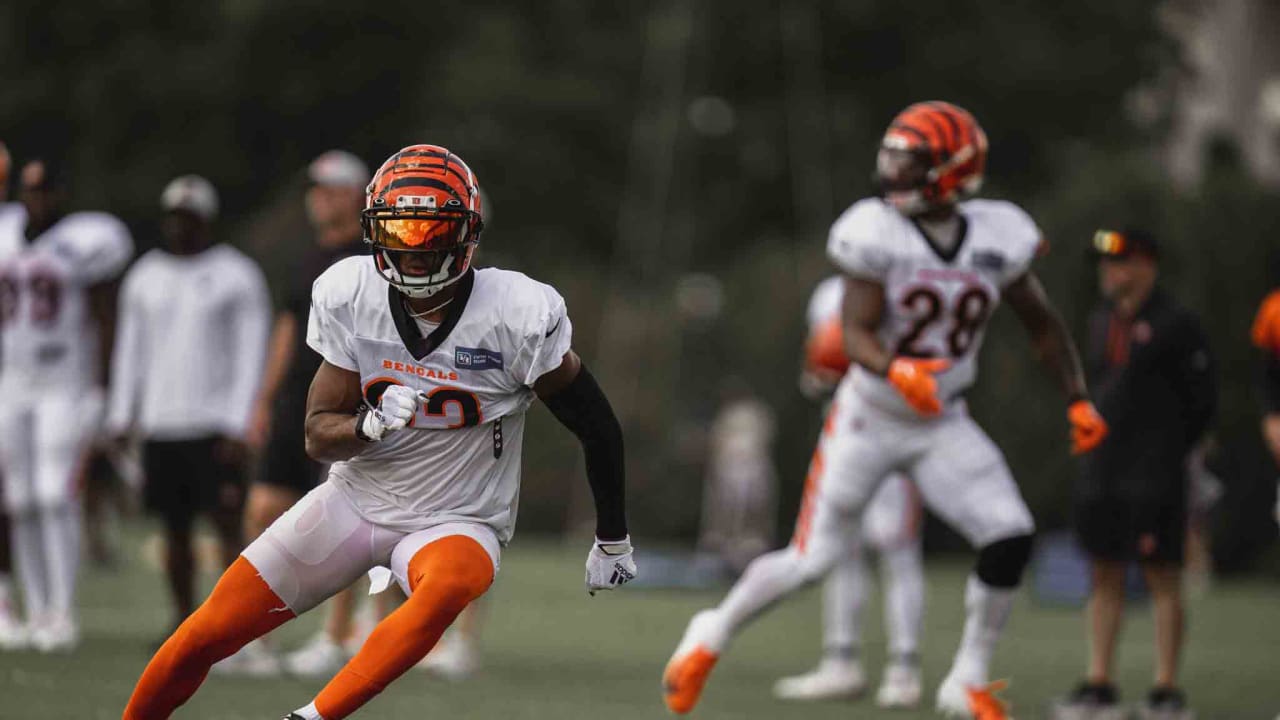 Cincinnati Bengals WR Tyler Boyd excited to play at Heinz Field again