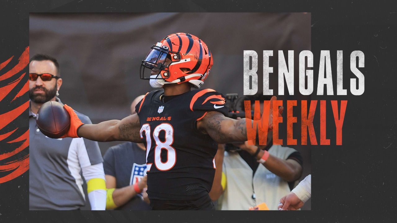 Week 11 at Pittsburgh Steelers Bengals Weekly