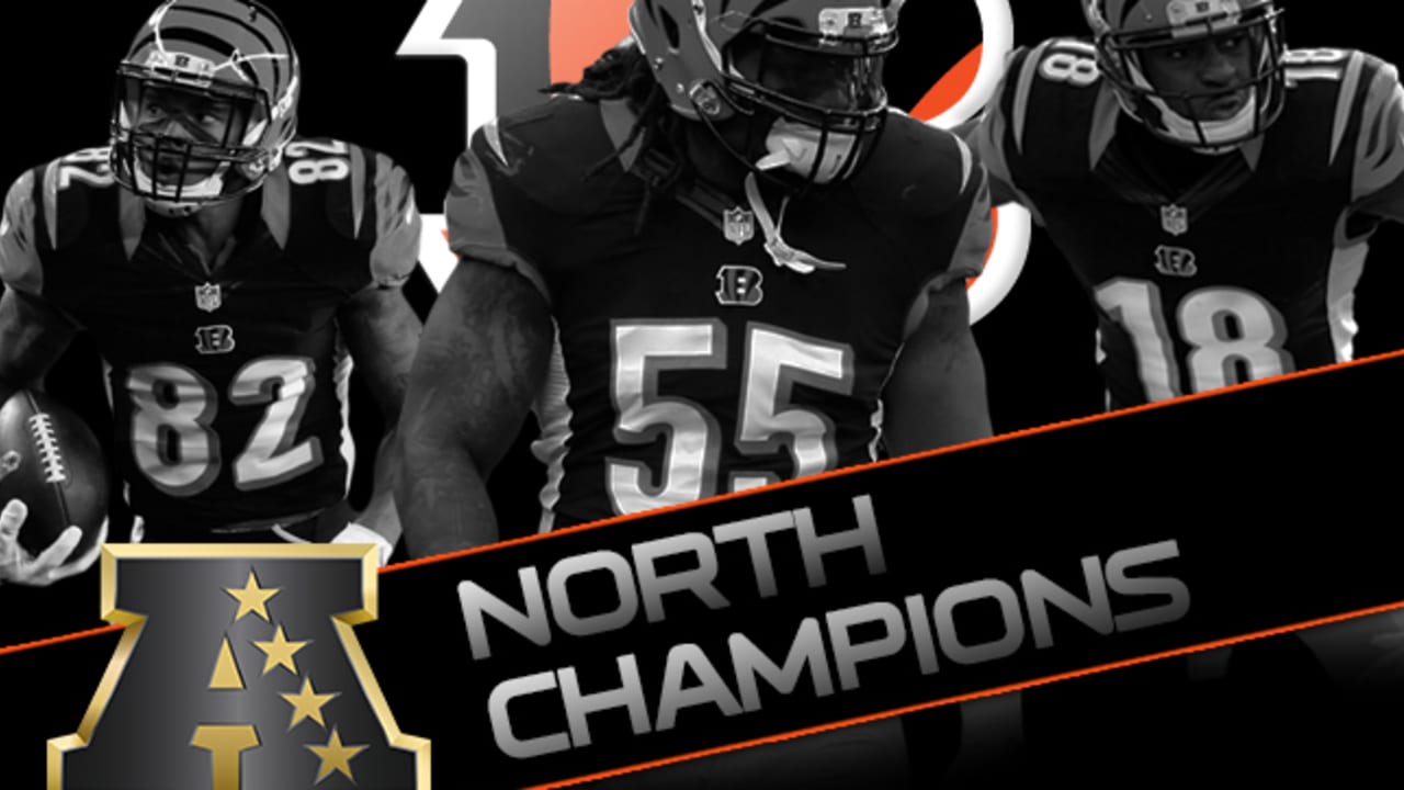 2013 Afc North Champs  Marvin lewis, Champion, Cincinnati bengals