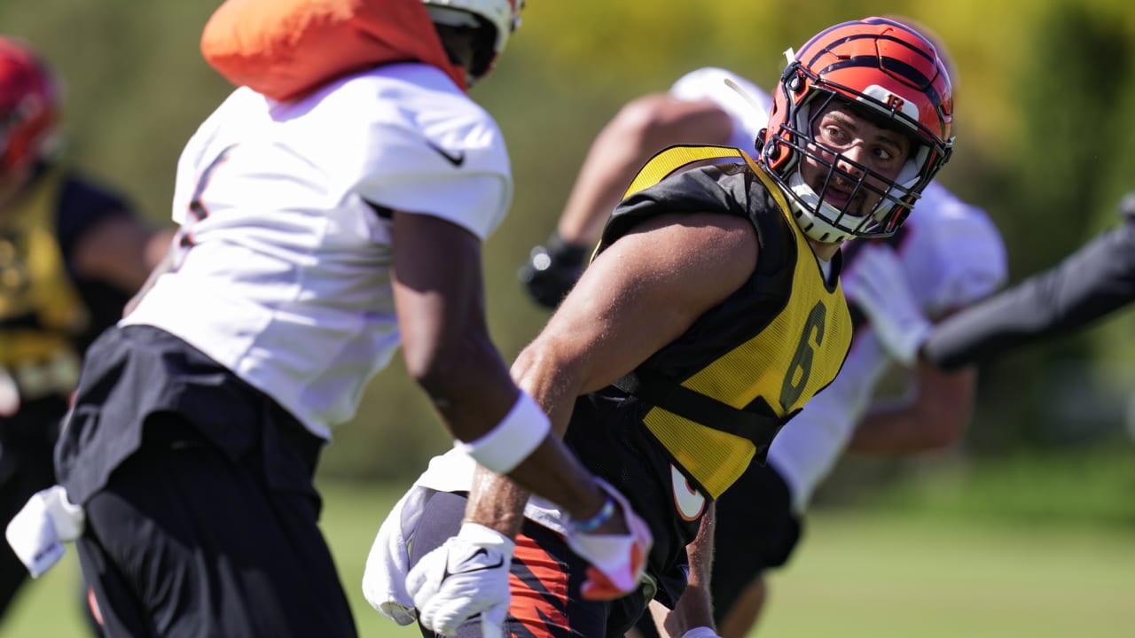 Bengals DT Tyler Shelvin again carries Joe Burrow off field with one arm