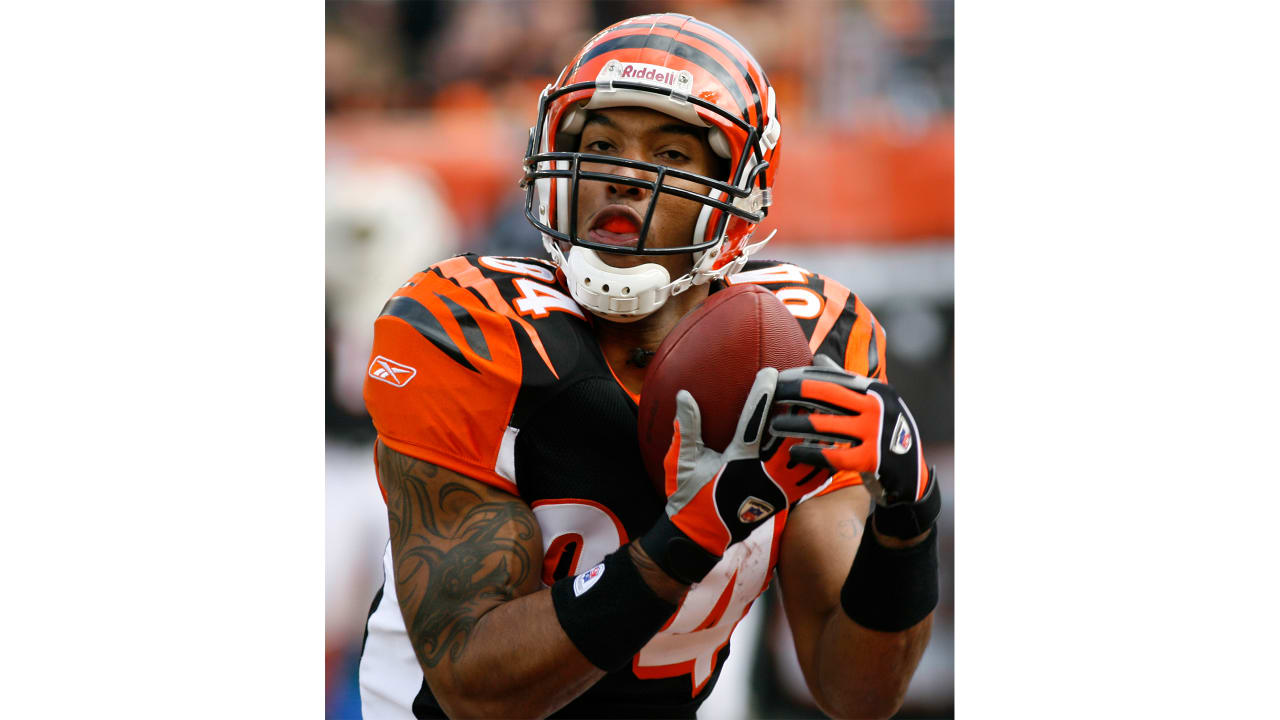 2006 Cincinnati Bengals season - Wikipedia