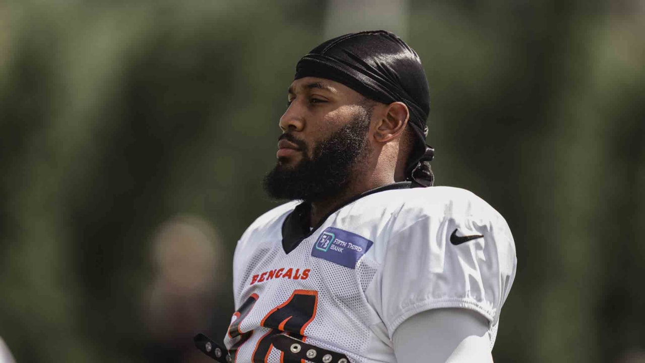 Steelers notebook: Bengals backup Samaje Perine had a field day against  Steelers defense