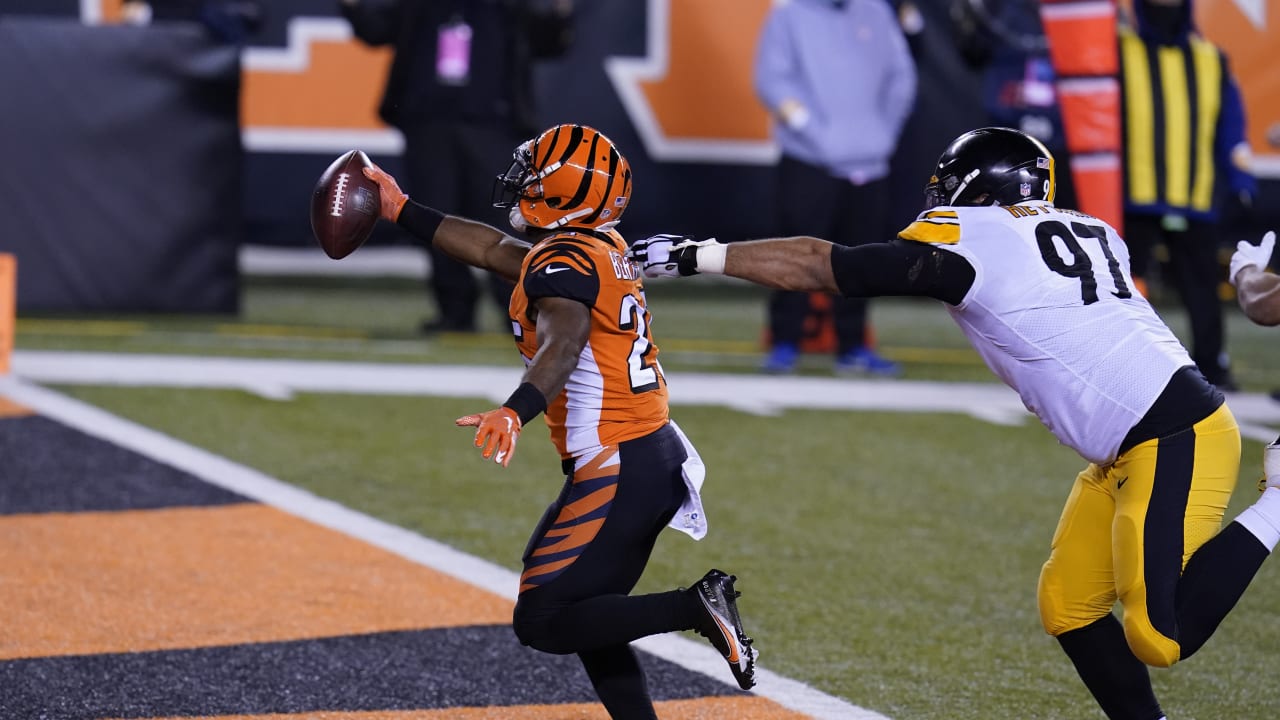 Photo Gallery: Week 15  Pittsburgh Steelers at Cincinnati Bengals