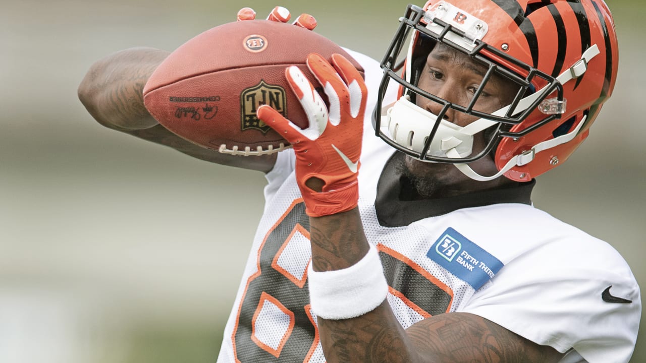 Tee Higgins set to keep proving his elite status for Bengals - Cincy Jungle