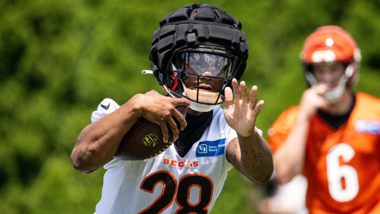 Bengals Training Camp Observations July 31