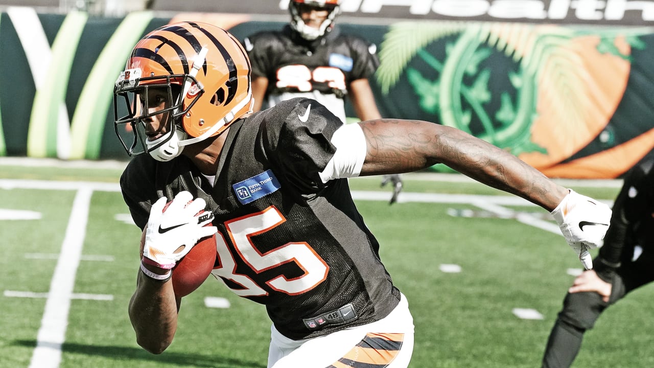 PFF simulation projects Bengals will have the most wins this season - Cincy  Jungle