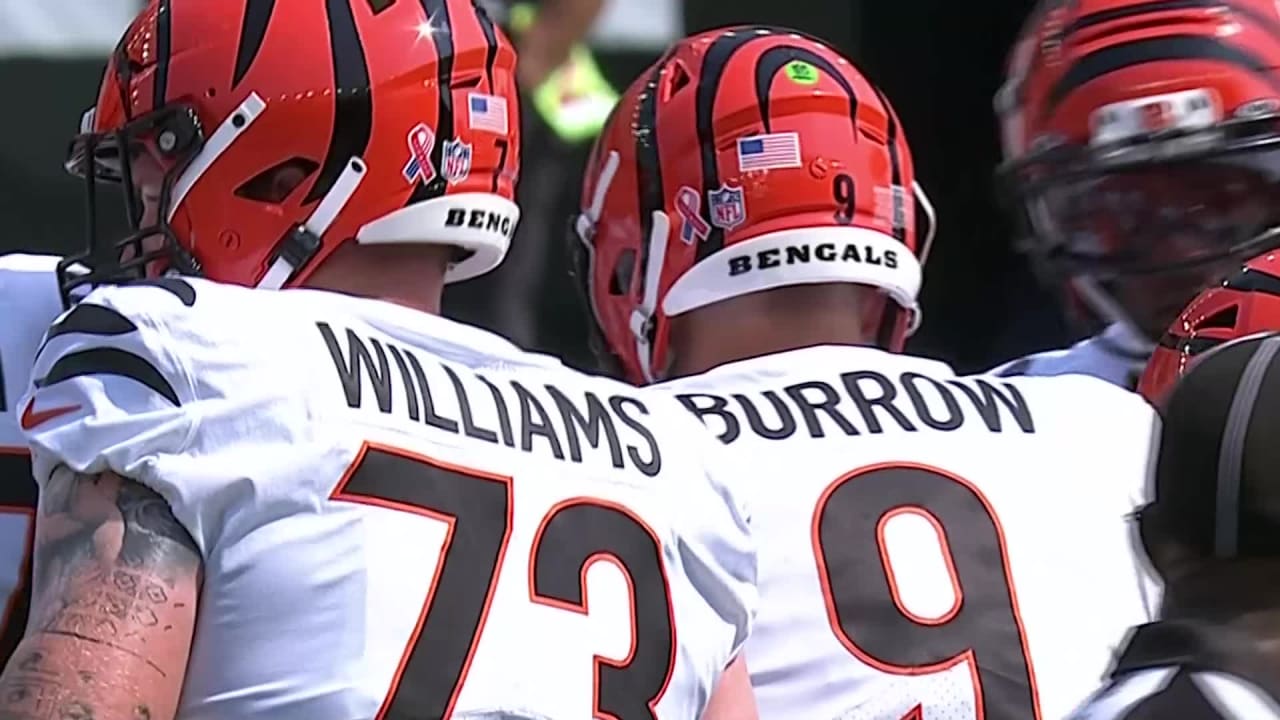 9 fun facts: Chicago Bears vs. Cincinnati Bengals 2021 Week 2 game,  all-time history