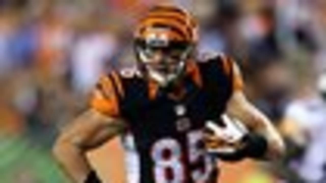 Tyler Eifert Profile - Bio, Game Log, Career Stats, Draft, College, News &  Videos