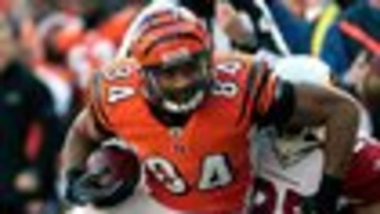 No. 10 Bengals draft bust of all-time: David Pollack - Cincy Jungle