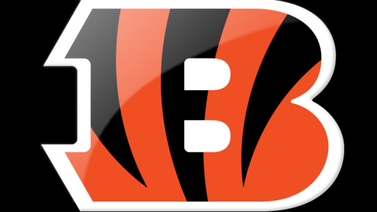 Titans Fans: Beware of Ticket Scammers for Bengals Game - Sumner