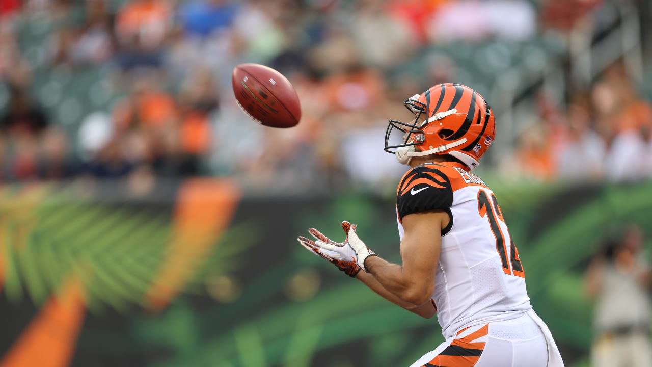 Cincinnati Bengals: Bill Lazor not concerned with Jeff Driskel