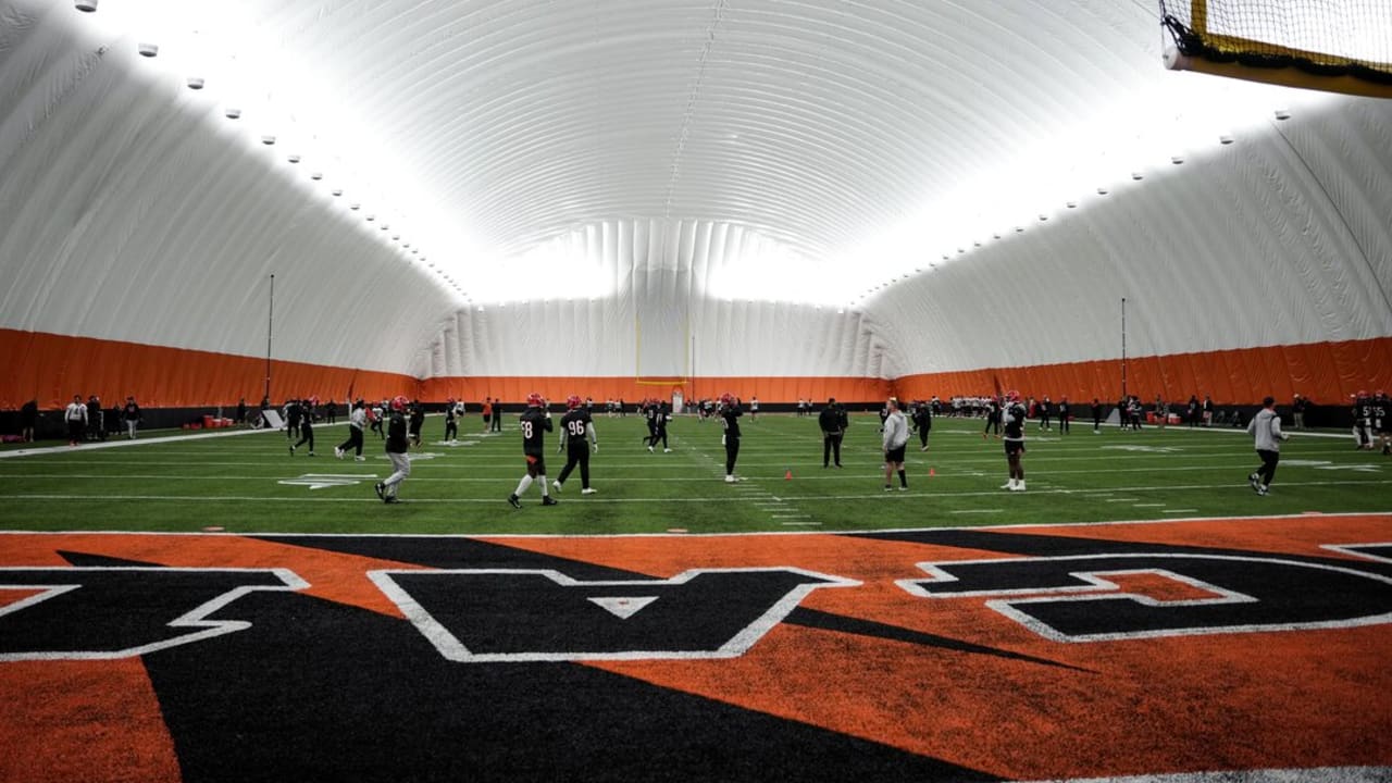 Bengals Set To Host UC Pro Day As They Pivot To NFL Draft