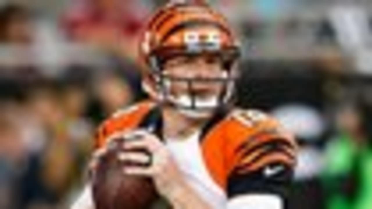 Bengals QB Andy Dalton and his wife, Jordan, treat families at Ohio  amusement park