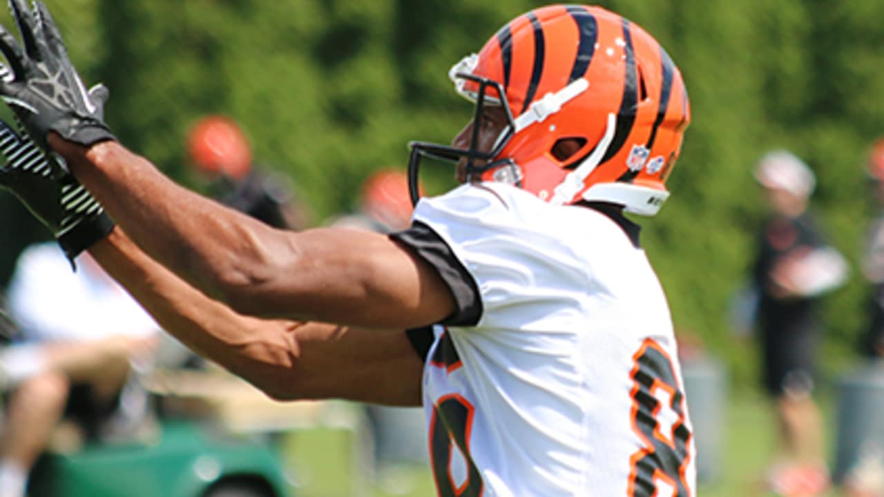 Hobson's Choice indepth questions